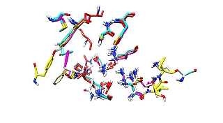 figure-the-ensemble-of-the-e-s-reaction-coordinates-that-was-used-to-predict-hotspots-in-the-substrate-binding-site-of-the-enzymes