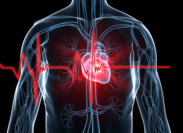 Image credit- cardiacrhythmnews.com