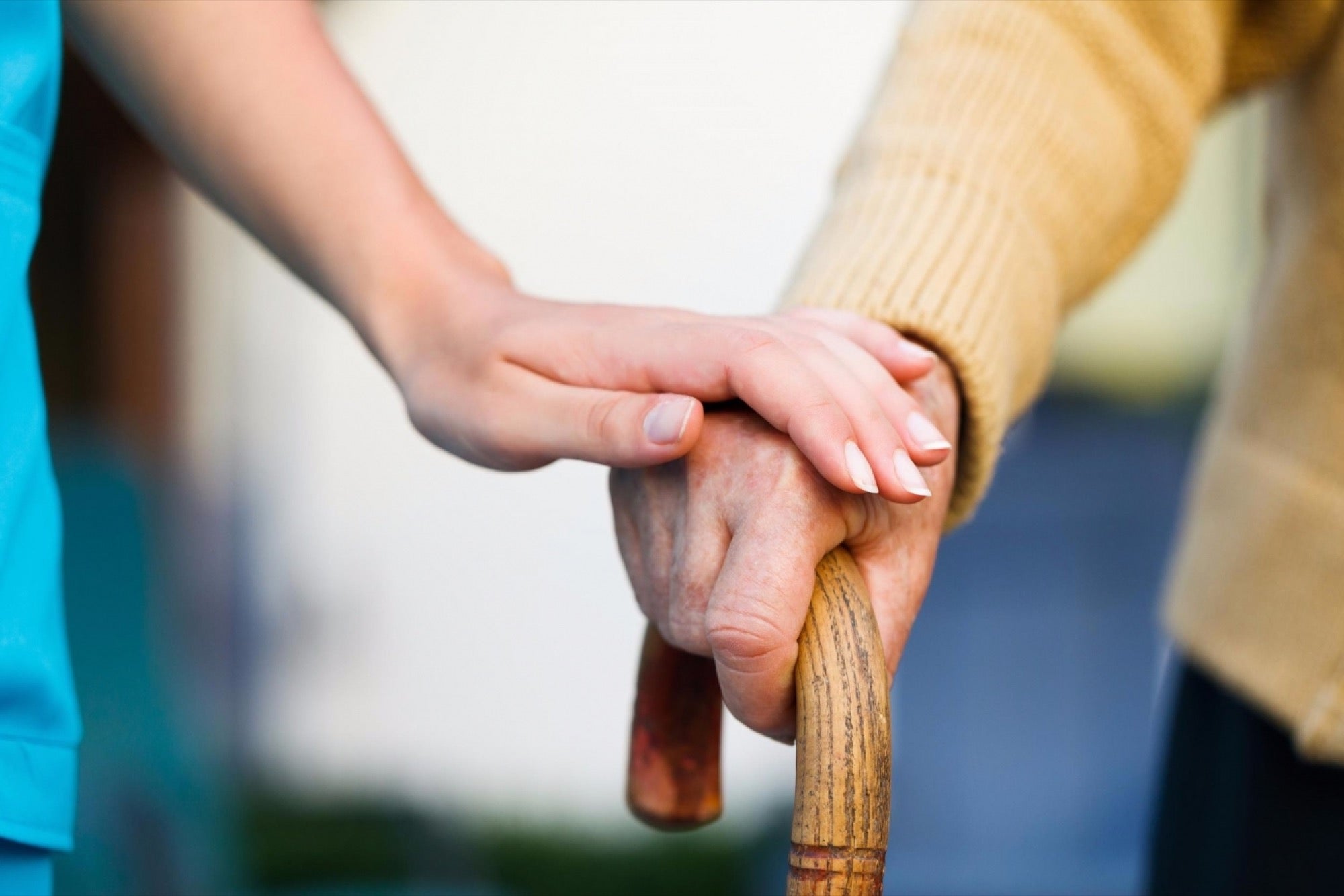 image credit- shutterstock