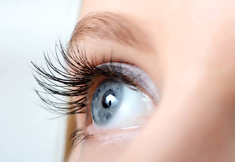 Image credit: shutterstock
