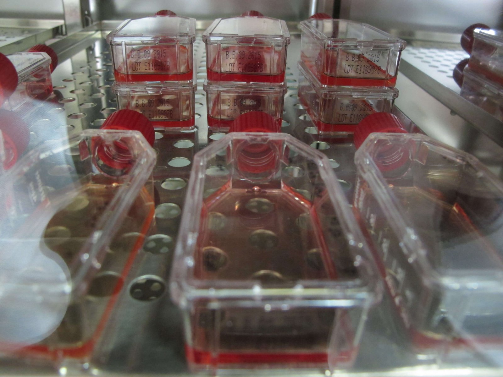The Austrian Center of Industrial Biotechnology collaborates with GE ...