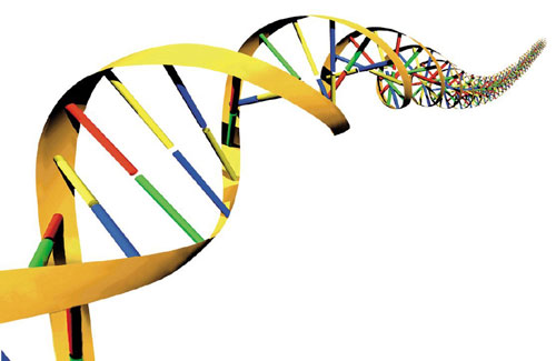 Agilent Technologies launches SureDesign for next-generation sequencing
