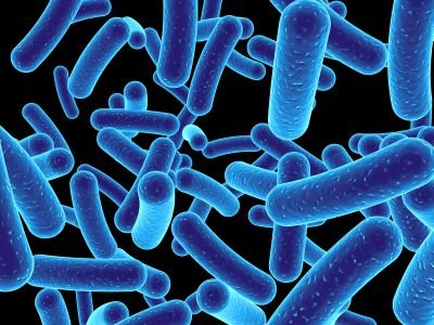 Antibacterial resistance has emerged as a serious global health issue