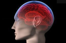 Blood pressure drugs like ACE inhibitors slow the rate of cognitive decline typical of dementia and may even increase brain power