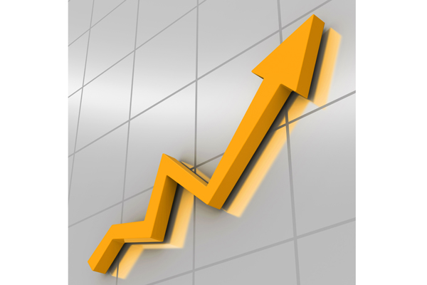 Domestic revenues grew by 30.4 percent