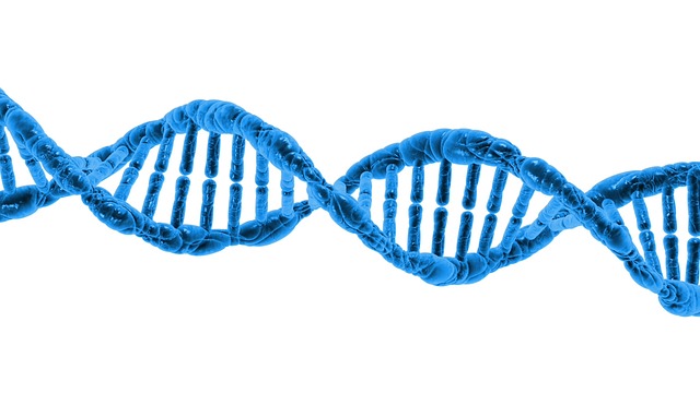 TauRx Therapeutics is a spin-out company from the University of Aberdeen, Scotland, and was established in Singapore in 2002 