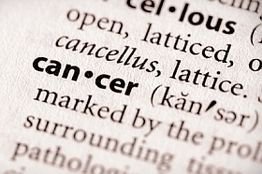 Duke Cancer Institute atudy - Pfizer's osteoporosis drug bazedoxifene can stop even the most resistant breast cancers
