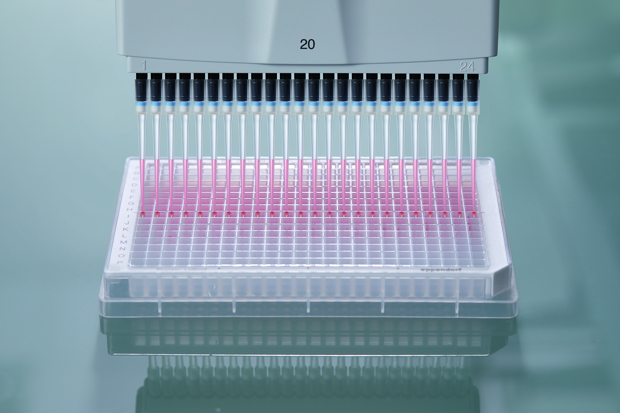 Source :- Eppendorf AG Press room