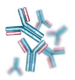 First antibody master set for epigenetic studies