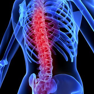 Hope for spinal injury patients - Stem cells can treat spinal injury for the first time ever