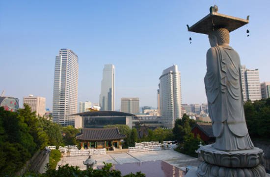 How do you stay clear of regulatory hurdles in South Korea? 