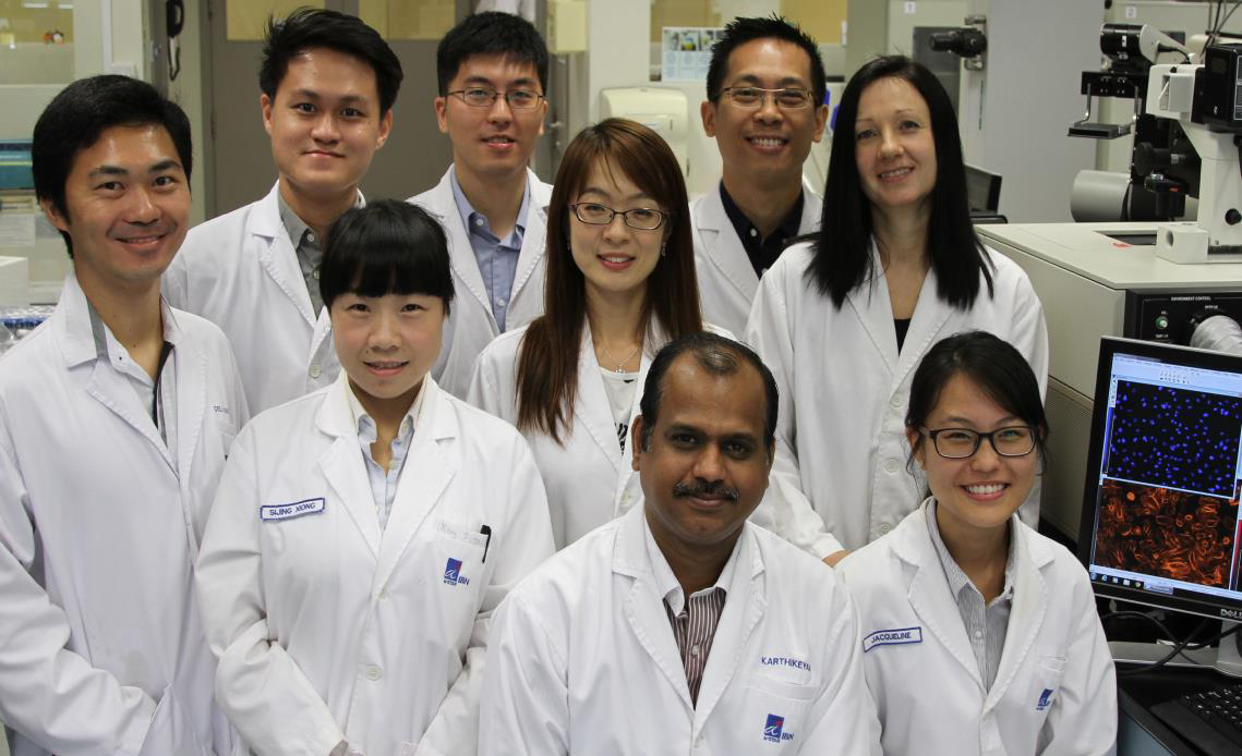 Front row (seated, left to right): IBN researchers Dr Karthikeyan Kandasamy, Ms Jacqueline Chuah. Second row (left to right): Mr Peng Huang and Dr Sijing Xiong from IBN, Dr Ran Su of BII and IBN's Dr Daniele Zink. Third row (left to right): IBN's Mr K
