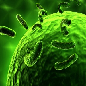 Researchers said that this is the deadliest form of bacteria ever seen