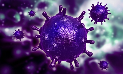 The study has been published in Nature and has been established after a ten year long research