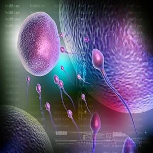 Follitrope's biological, immunological, and physicochemical properties are identical with natural FSH and is found to be highly stable compared to previous urinary derived FSH products