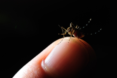 GlaxoSmithKline plans to sell the vaccine at cost price plus 5 percent which, it said, would fund further research in tropical diseases