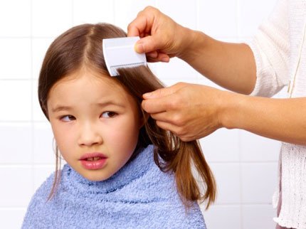 Lice no more: Hatchtech's head lice product DeOvo ends phase II trials