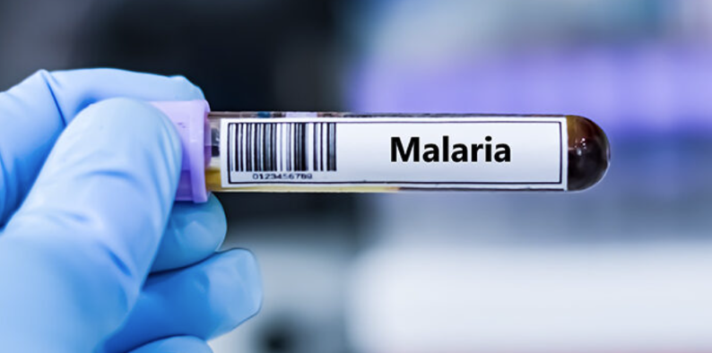 Burnet Institute and WEHI in Australia unveil immune blueprint for next‐generation malaria vaccines