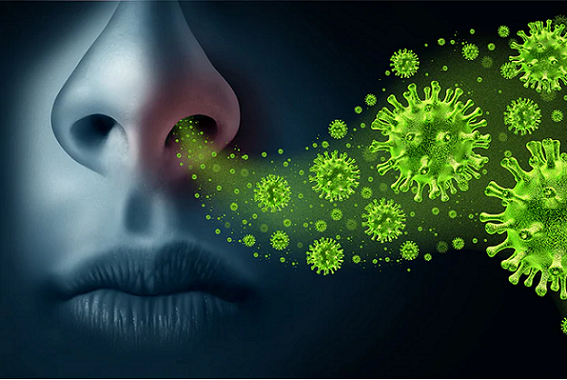 Scientists identify key nasal cells believed to attract Coronavirus