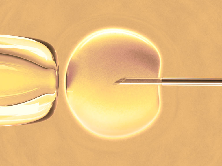 Nichi-In Centre for Regenerative Medicine: men have more bone marrow stem cells than women of the same reproductive age