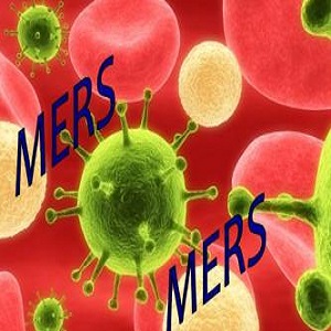 So far 172 cases of MERS have been confirmed in South Korea