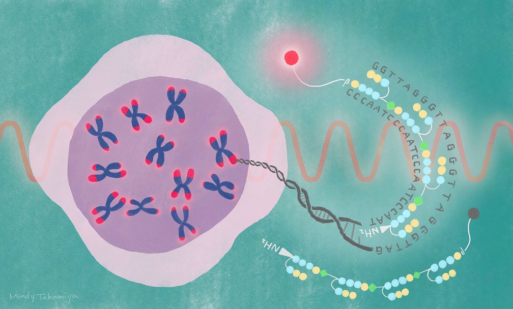 Photo Credit: Mindy Takamiya/Kyoto University iCeMS, Japan