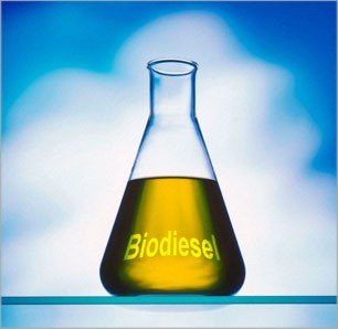 New Zealand firm to shut down biodiesel unit