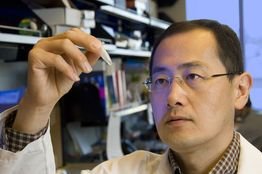 Nobel Laureate Shinya Yamanaka gives stem cell lecture at A*STAR