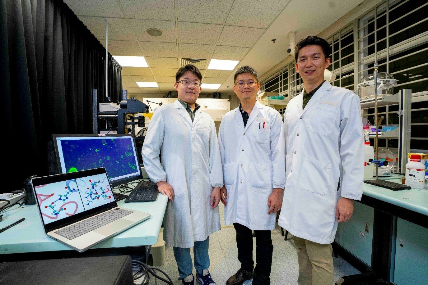 Singapur desarrolla un sistema versátil de administración de fármacos inspirado en el autoensamblaje de proteínas de oruga