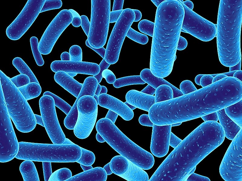 NTU develops potential replacement for antibiotics