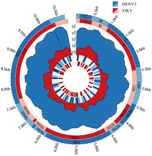 Photo credit: PLOS Neglected Tropical Diseases