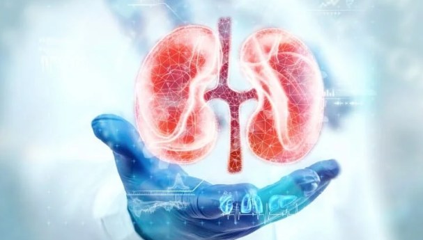 image credit- shutterstock