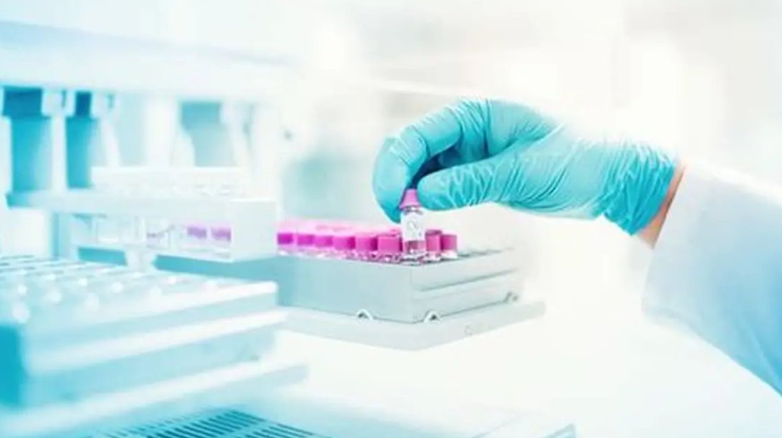 image credit- shutterstock