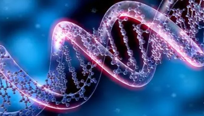 Thailand launches newborn genome sequencing project