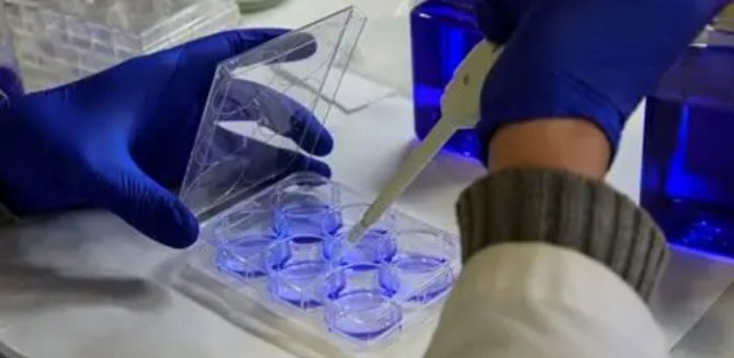 image credit- freepik