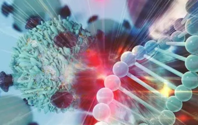 Collaboration between Israel and Australia to advance AI-driven cancer therapeutics