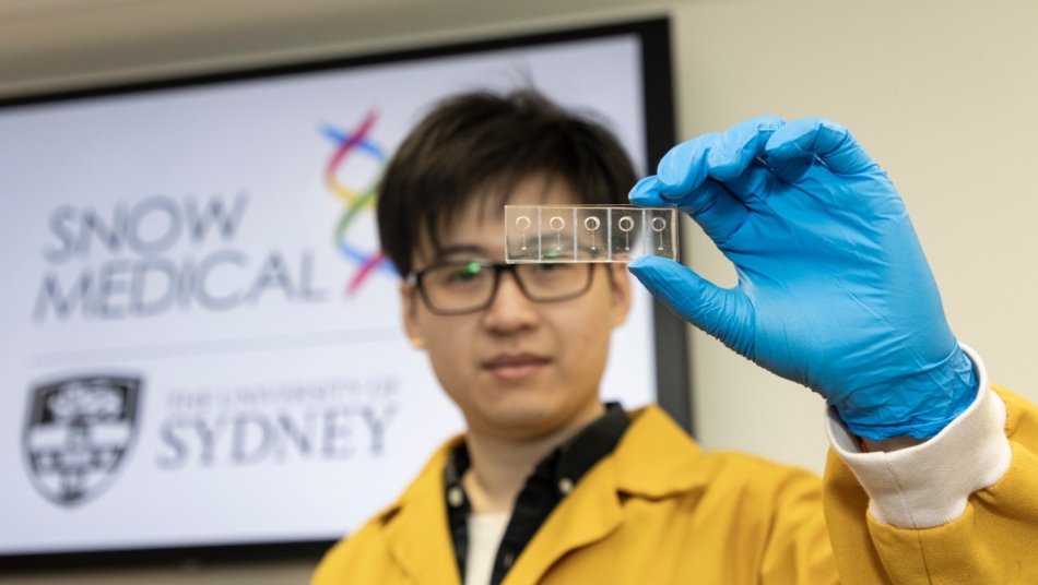 Australia studies 3D printed blood vessels to unravel secrets of strokes