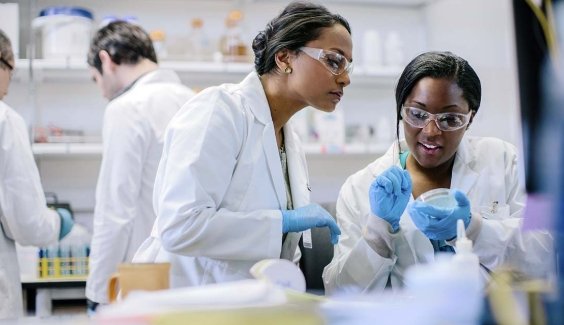 Asia Shape Rrace Changing shape of healthcare careers: Medical AI, Bioinformatics and ...