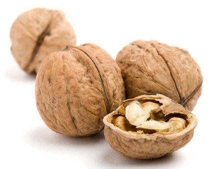 Walnuts increase sperm quality